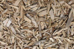 biomass boilers Peckingell